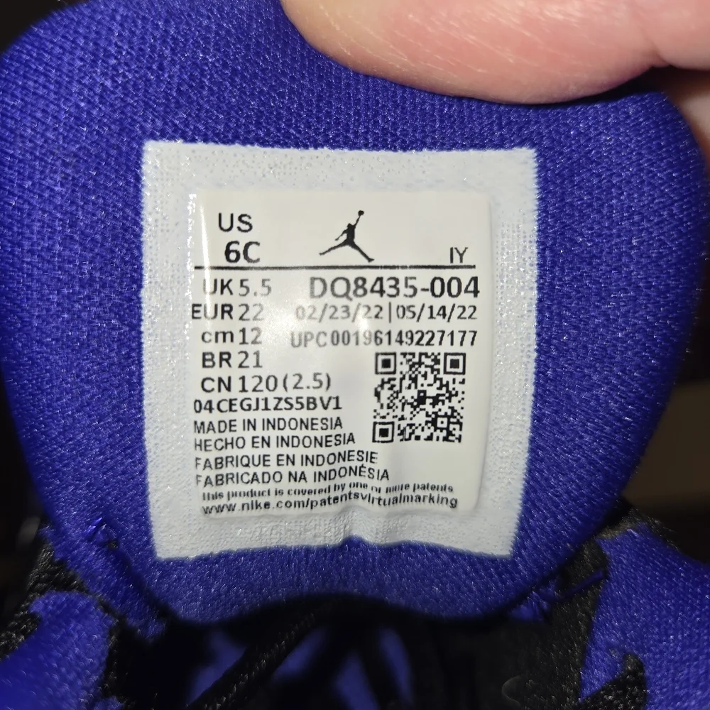 Jordan Jumpman Pro TD 6C Black and Purple Sneakers